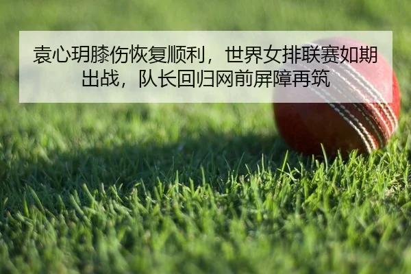 yuan-xin-yue-xi-shang-hui-fu-shun-li-shi-jie-nv-pai-lian-sai-ru-qi-chu-zhan-dui-zhang-hui-gui-wang-qian-ping-zhang-zai-2-266.jpg